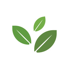 Leaf Logo Icon
