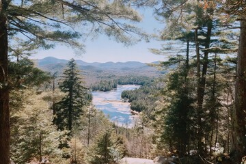 A forest situated beside a lake, with sunshine casting a warm glow, forms a idyllic summer setting, replete with a reflective lake surface, water, and trees, all of which serve as a testament to the