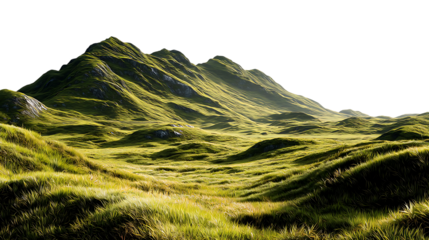 Rolling green hills bathed in sunlight