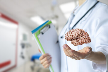 Doctor shows virtual brain model in clinic