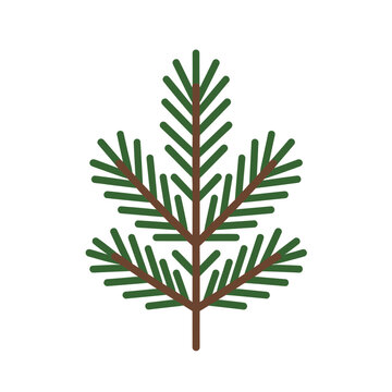 Simple Flat Vector Illustration of a Green Spruce Tree Branch with Brown Stem on White Background