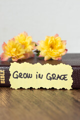 Grow in grace, Christian inspirational handwritten text with holy bible book. Mercy and faith in...