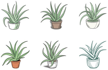 Aloe Vera in Pot Vector Designs Set Minimal Flat Potted Succulent Illustrations for Crafts and Design