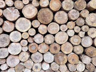 stacked firewood in front of a biomass power plant - texture