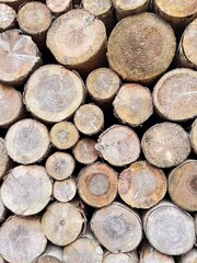 stacked firewood in front of a biomass power plant - texture