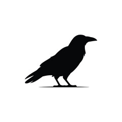 Obraz premium Crow on White Background, Minimalist Black Bird Silhouette Vector Illustration