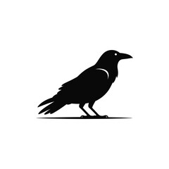Obraz premium Crow on White Background, Minimalist Black Bird Silhouette Vector Illustration