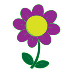 colorful flower isolated on white