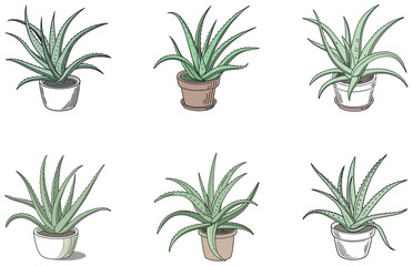Aloe Vera in Pot Vector Designs Set Minimal Flat Succulent Clipart for Print and Digital