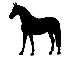 Brandenburger Horse in silhouette pure white background. 
