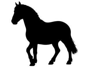 Carrossier Cotentin horse in silhouette pure white background. 