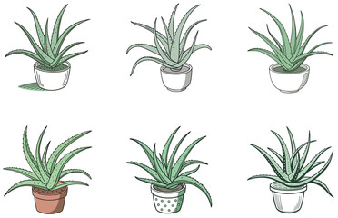 Aloe Vera in Pot Vector Designs Set Minimal Flat Succulent Illustrations for Decor and Crafts