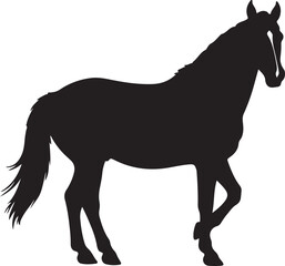 Datong horse in silhouette pure white background. 