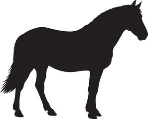 Silhouette of a horse white background.