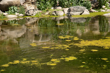 OASIS DE SAN JAVIER EN LORETO BAJA CALIFORNIA SUR MEXICO