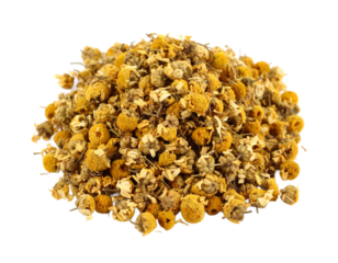 Dried chamomile flowers heap close-up, herbal remedy and tisane material on transparent background