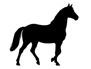 Mountain Pleasure Horse in silhouette pure white background.