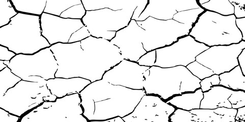 A high-contrast black and white texture depicting dry, cracked earth. The fragmented surface forms an organic mosaic of irregular shapes, with sharp, dark lines outlining each segment.