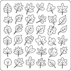 A Variety of Leaf Outlines Depicted in a Grid Formation Offering Versatile Design Elements for Autumnal Themes and Educational Resources