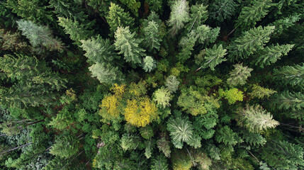 Fototapeta premium The fairyland-like natural scenery