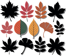 Obraz premium Assorted Fall Leaves Illustration Featuring Varied Shapes and Colors Depicting Autumn Foliage in Shades of Red Orange Green and Black