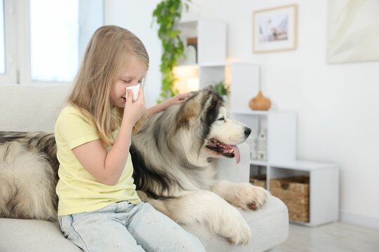 Girl suffering from allergy with her dog at home