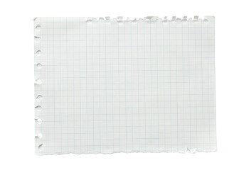 Single blank graph paper with natural jagged torn edges, precise light blue grid lines, and matte texture, flat on a pristine transparent isolated background, top-down view, concept of precision and
