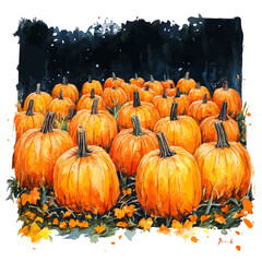 Pumpkin Patch Glows Night, watercolor drawing vector, isolated on a white background.