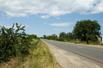 A road with trees on either side