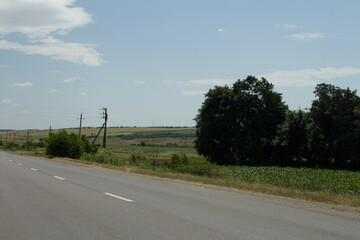 A road with trees on the side