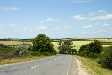 A road with trees on the side