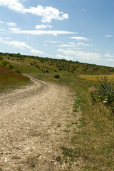 A dirt road with grass and bushes