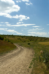 Fototapeta premium A dirt road with grass and trees on either side of it