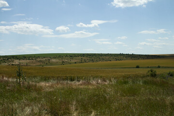 A grassy field with trees in the background