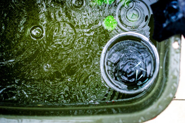 雨の日のメダカの水槽_俯瞰