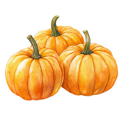 watercolor of Pumpkins, vector, isolated on a white background.