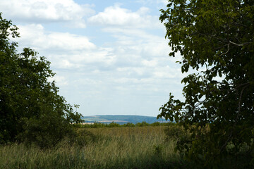 A grassy field with trees and water in the background