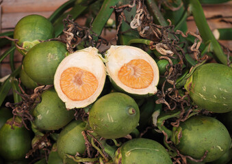 Betel nuts eaten with betel leaves