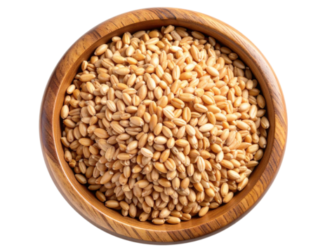  3D Render of Wheat Grains in Wooden Bowl with Smooth Gradient Lighting, Transparent Background