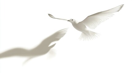 Obraz premium Bird in flight pose vector logo design with white background.