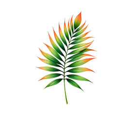 Tropical Palm Leaf Isolated PNG on Transparent Background Design