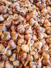 Freshly harvested garlic bulbs forming a textured background