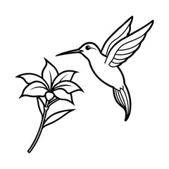 hummingbird and flowers