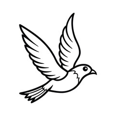 white dove flying
