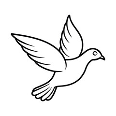 white dove flying