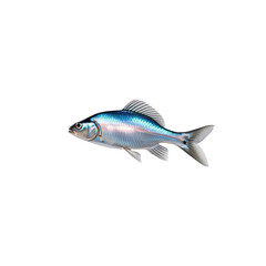 Obraz premium Vibrant Blue Fish, Aquatic Life, Underwater Animal