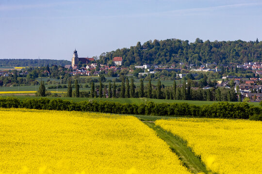Herrenberg im G&auml;u mit Rapsfeldern im Vordergrund