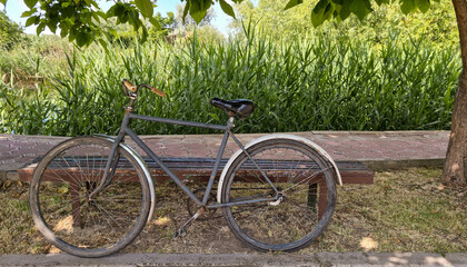 Rusty bicycle in nature. Old bicycle parked near wooden bench under tree in with tall grass and...