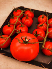 Fresh red tomatoes on the vine in cardboard box