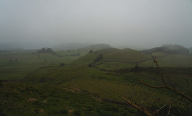 Foggy Hillside Landscape with Trees and Tranquil Ambience